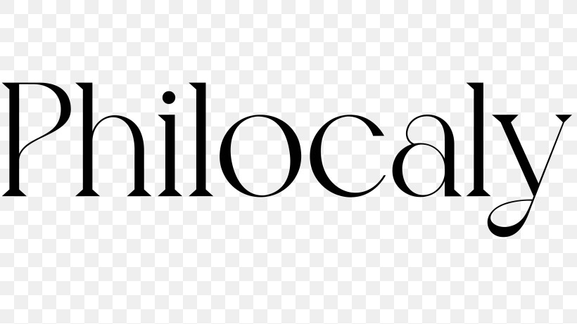 Philocaly Hair Extensions